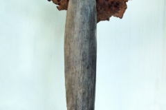 Engel-14-040